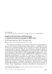 Орнитологические наблюдения в Алакольской котловине в 2005 году