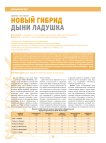 Новый гибрид дыни "Ладушка"