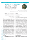 Новые поступления капустных культур вида Brassica rapa L. в коллекцию ВИР
