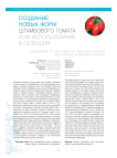 Создание новых форм штамбового томата и их использование в селекции