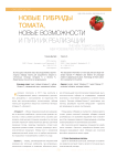 Новые гибриды томата, новые возможности и пути их реализации