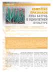 Комплекс признаков лука батуна в однолетней культуре