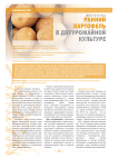 Ранний картофель в двуурожайной культуре