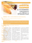 Сахарная кукуруза в условиях Среднего Приамурья