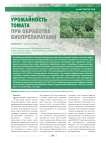 Урожайность томата при обработке биопрепаратами