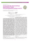 Использование арбускулярных микоризных грибов при выращивании луковых культур