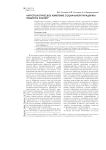 Антропологическое измерение социальной парадигмы общества знаний