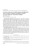 Случаи отлова желтолобой трясогузки Motacilla lutea и певчего сверчка Locustella certhiola на озере Чаны (юг Западной Сибири)