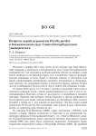 Встреча серой куропатки Perdix perdix в ботаническом саду Санкт-Петербургского университета