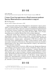 Стерх Grus leucogeranus в Берёзовском районе Ханты-Мансийского автономного округа