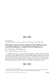 Находка седоголовой горихвостки Phoenicurus caeruleocephalus в окрестностях Барнаула