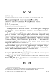 Находки горной трясогузки Motacilla cinerea на юго-западе Республики Коми