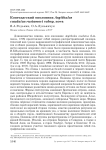 Копетдагский ополовник Aegithalos caudatus rustamovi subsp. Nova