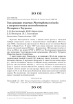 Гнездование пуночки Plectrophenax nivalis в антропогенных местообитаниях Полярного Зауралья