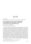 Статус белоголового орлана Haliaeetus leucocephalus на Камчатке: залётный и эпизодически зимующий вид