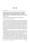 Корольковая пеночка Phylloscopus proregulus в пойменных сериях растительного покрова горно-таёжного ландшафта Буреинского нагорья