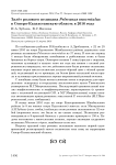 Залёт розового пеликана Pelecanus onocrotalus в Северо-Казахстанскую область в 2016 году