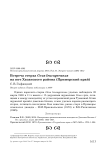 Встреча стерха Grus leucogeranus на юге Хасанского района (Приморский край)