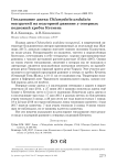 Гнездование джека Chlamydotis undulata macqueenii на подгорной равнине у северных подножий хребта Кетмень