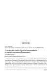 О встречах савки Oxyura leucocephala в Северо-Западном Приазовье