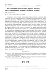 О гнездовании могильника Aquila heliaca в Бухтарминской долине (Южный Алтай)