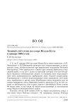 Зимний учёт птиц на озере Иссык-Куль в январе 2004 года