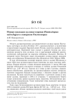 Новые находки кулика-сороки Haematopus ostralegus в Северном Охотоморье