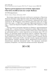 Третья регистрация восточной тиркушки Glareola maldivarum на озере Байкал