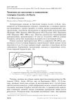 Заметки по экологии и поведению топорка Lunda cirrhata