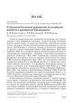 К биологии болотной камышевки Acrocephalus palustris в равнинном Предкавказье