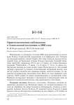 Орнитологические наблюдения в Алакольской котловине в 2006 году