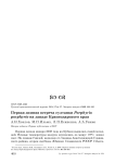 Первая зимняя встреча султанки Porphyrio porphyrio на западе Краснодарского края