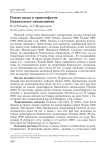 Новые виды в орнитофауне Кавказского заповедника