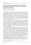 О гнездовании морского голубка Larus genei и пестроносой крачки Thalasseus sandvicensis на Молочном лимане