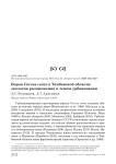 Ворон Corvus corax в Тамбовской области: экология размножения и темпы урбанизации