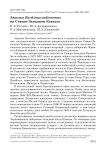 Авдотка Burhinus oedicnemus на Северо-Западном Кавказе