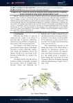 Current situation of lignite exploitation from Oltenia's mining basin and reuse solutions of remaining gaps