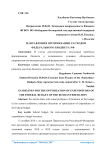Направления оптимизации расходов федерального бюджета РФ