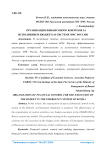 Организация финансового контроля за исполнением бюджета в системе МЧС России