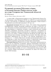 Кудрявый пеликан Pelecanus crispus и большой баклан Phalacrocorax carbo на озере Тундрово (юг Тюменской области)