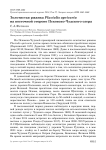 Золотистая ржанка Pluvialis apricaria на восточной стороне Псковско-Чудского озера