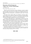 Находки лебедей-шипунов Cygnus olor зимой в Башкирии