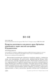 Встреча восточного хохлатого орла Spizaetus nipalensis в черте жилой застройки Владивостока