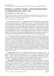 Редкие и залётные птицы, зарегистрированные на Куршской косе в 2017 году