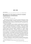 Материалы по численности птиц на островах Черноморского заповедника