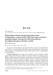 Некоторые новые находки редких птиц в Приморье: серый чибис Microsarcops cinereus, ошейниковый зимородок Halcyon pileata, белобрюхий дрозд Turdus cardis