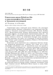 Египетская цапля Bubulcus ibis в агроландшафтах восточного и западного полушарий