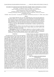 Focusing of light beams with the phase apodization of the optical system