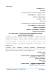 Организация и порядок проведения выездной налоговой проверки