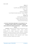 О роли органов повседеневного управления РСЧС на муниципальном уровне в создании и развитии аппаратно-программного комплекса "Безопасный город"